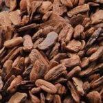 Substrato Chips de Pinus Tratado - 500gr