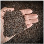 Casca de Arroz Carbonizada - 500GR