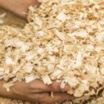 Substrato Serragem Madeira