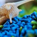 Lesmicida Madelesma Dipil- 250Gr