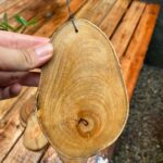 Bolachinha de Madeira  Para Micros