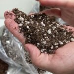 Substrato Misto Cacto - Suculenta - Tabaco - 500GR