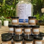 Inseticida Sistêmico IMIDAGOLD 700WG - 30 GR