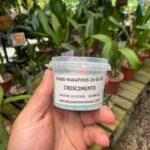 Adubo Hakaphos (20-05-05) - CRESCIMENTO - 100 Gr