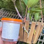 Adubo Profissional NUTRIORQUI - 400GR