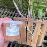 Adubo Profissional NUTRIORQUI - 200GR